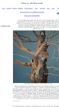 Mobile Screenshot of maryhrbacek.com